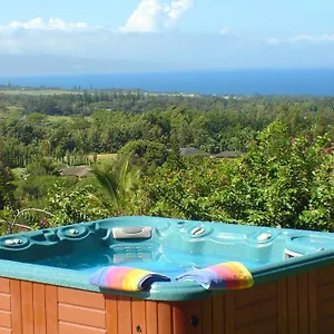 Adventure In Paradise Bed & Breakfast